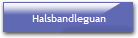 Halsbandleguan