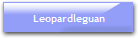 Leopardleguan
