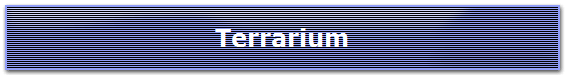 Terrarium